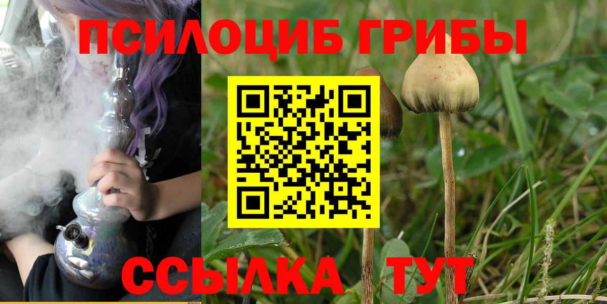 Галлюциногенные грибы ЛСД Полысаево