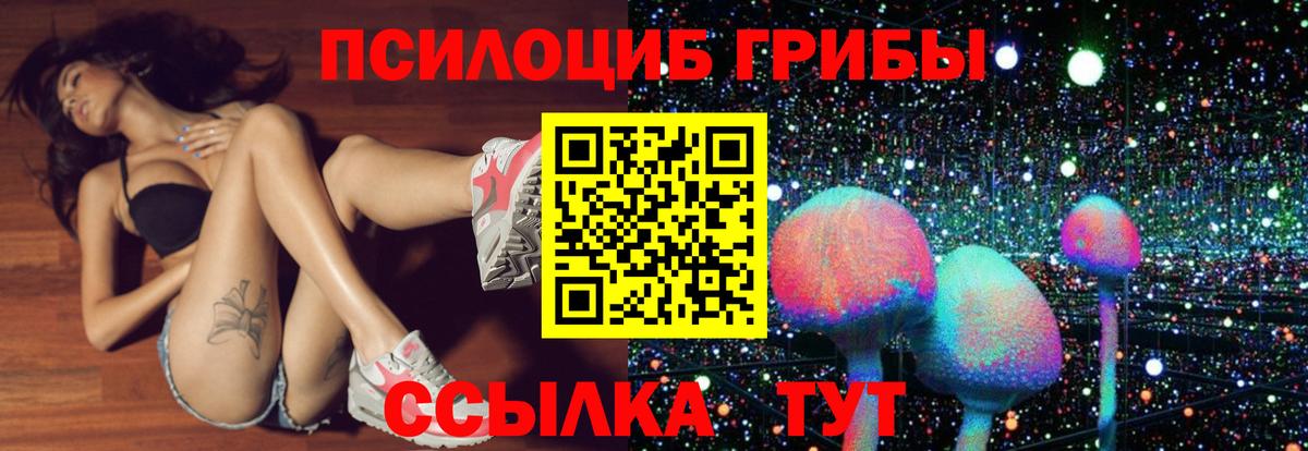 Полысаево  Галлюциногенные грибы мухоморы  Вход с VPN  Псилоцибиновые грибы ЛСД 